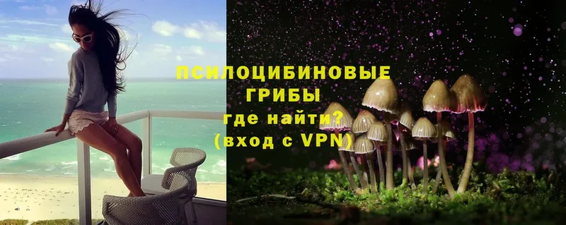 продажа наркотиков  Джанкой  Галлюциногенные грибы Psilocybe 